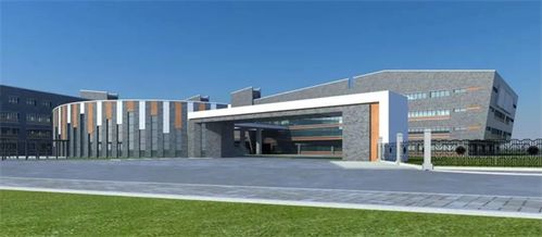 注意了,九龍湖這五所學校,學位緊張