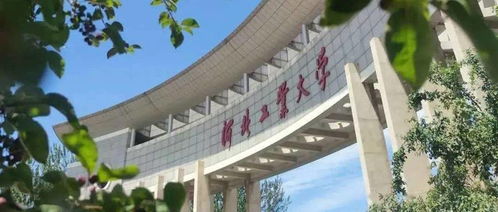 河北有多渴望好大學