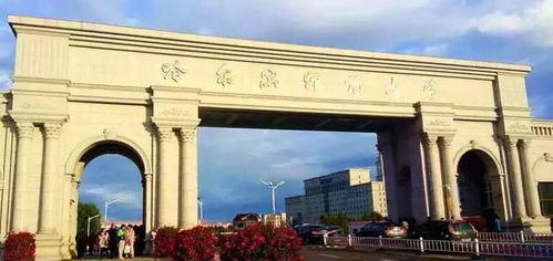 為中國(guó)點(diǎn)贊,為哈爾濱點(diǎn)贊 今日分享丨哈爾濱師范大學(xué)作品 下