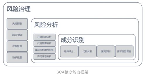 什么是軟件成分分析 sca