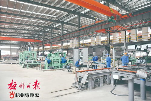 梧州工業經濟逆勢上揚，軟件學院成發展新引擎